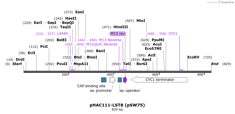 53415_map