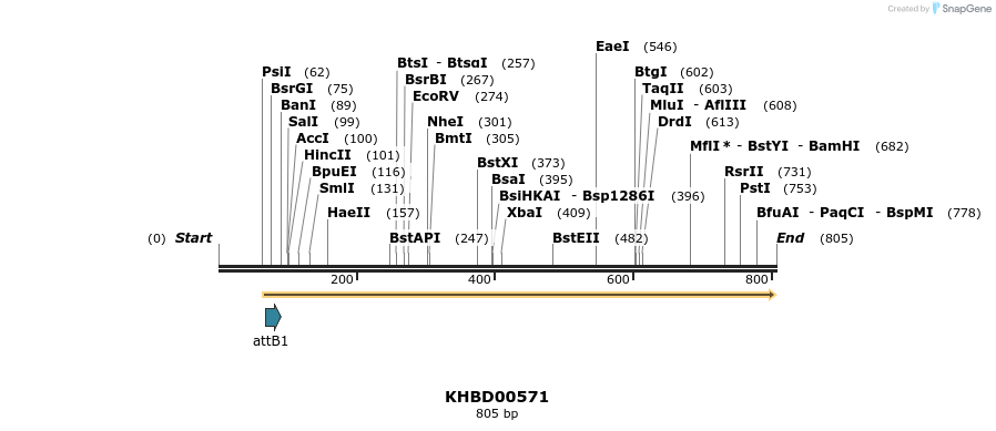 53416_map