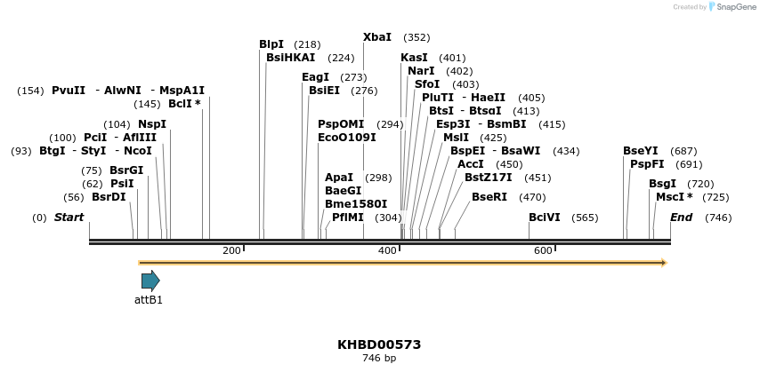 53419_map