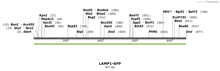 53423_map