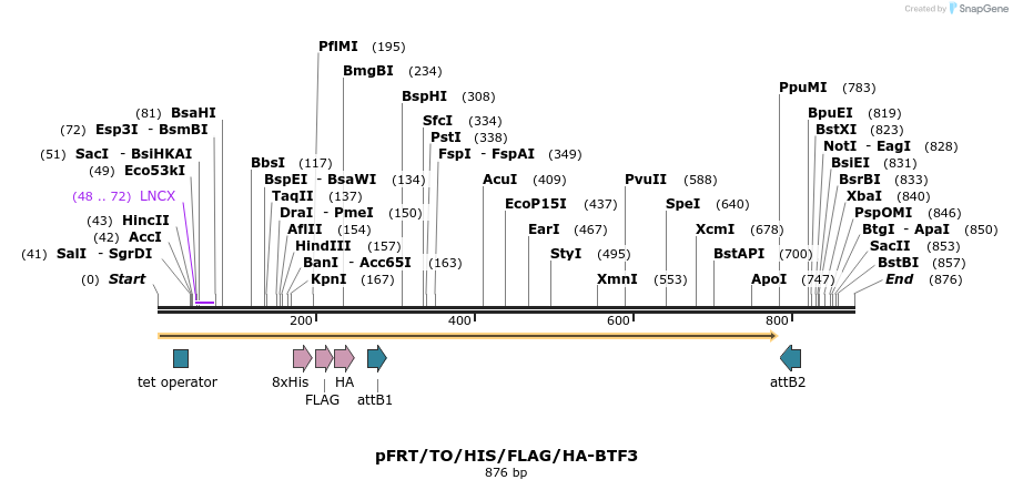 53431_map