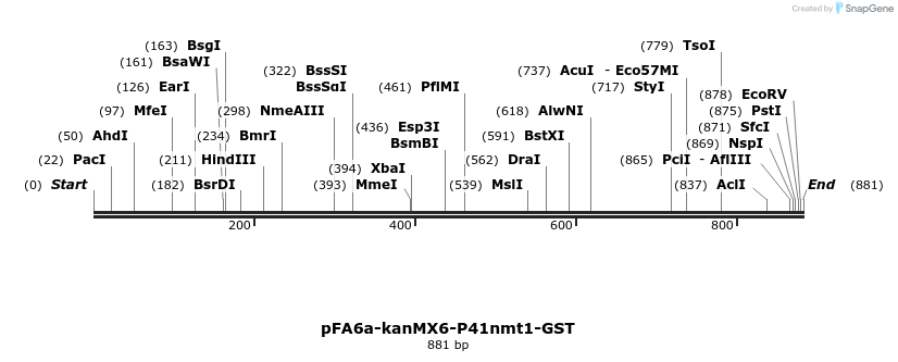 53432_map