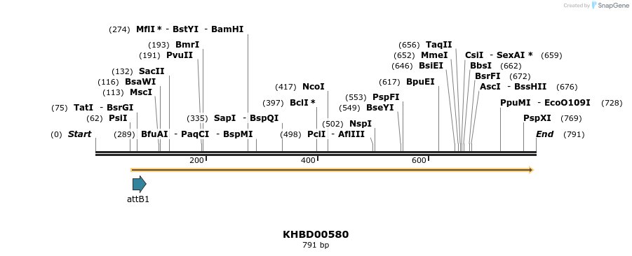 53437_map
