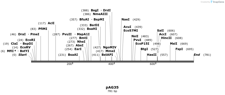 53438_map