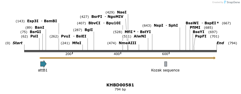 53440_map