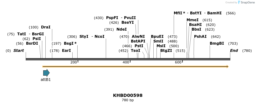 53442_map