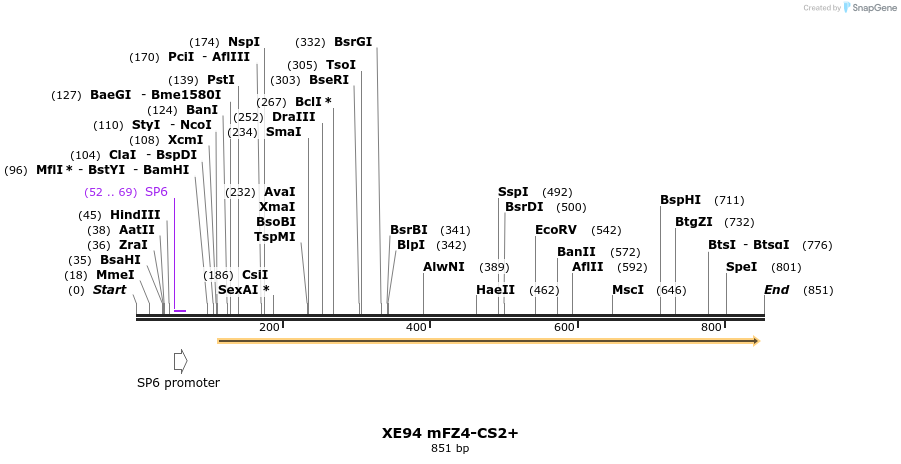 53444_map