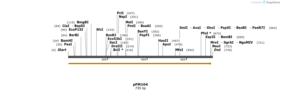53446_map