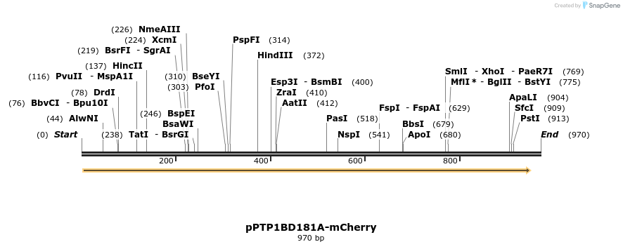 53447_map