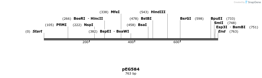 53448_map