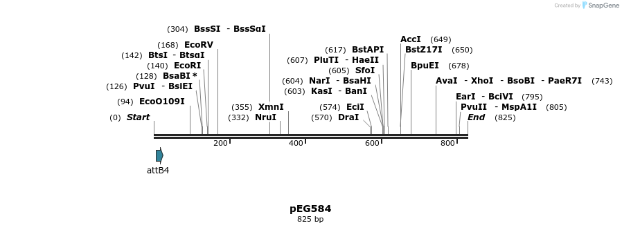 53450_map