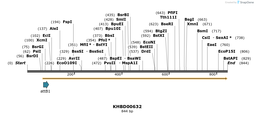 53457_map