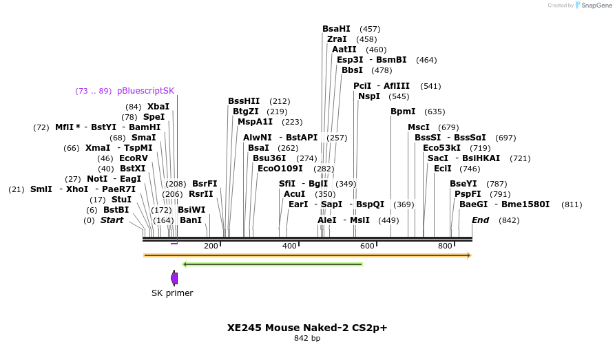 53459_map