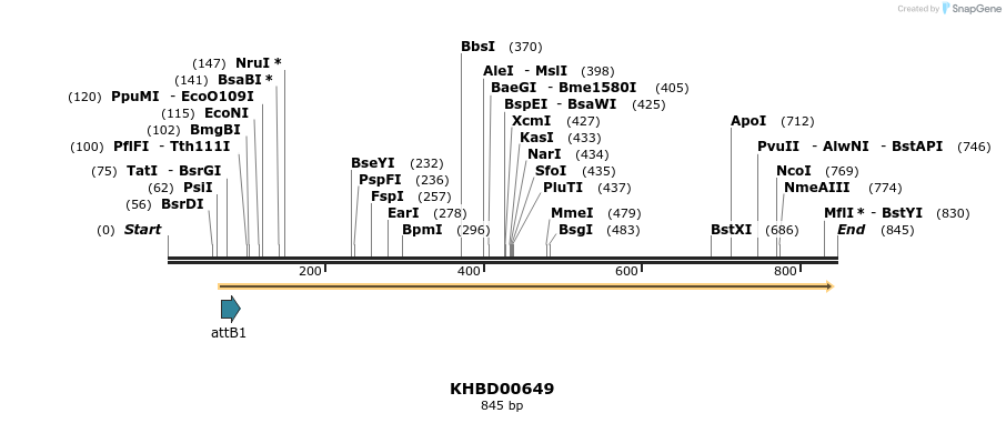 53460_map