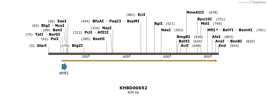 53461_map