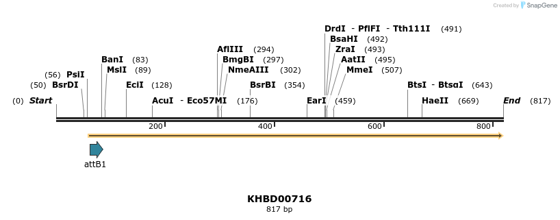 53463_map