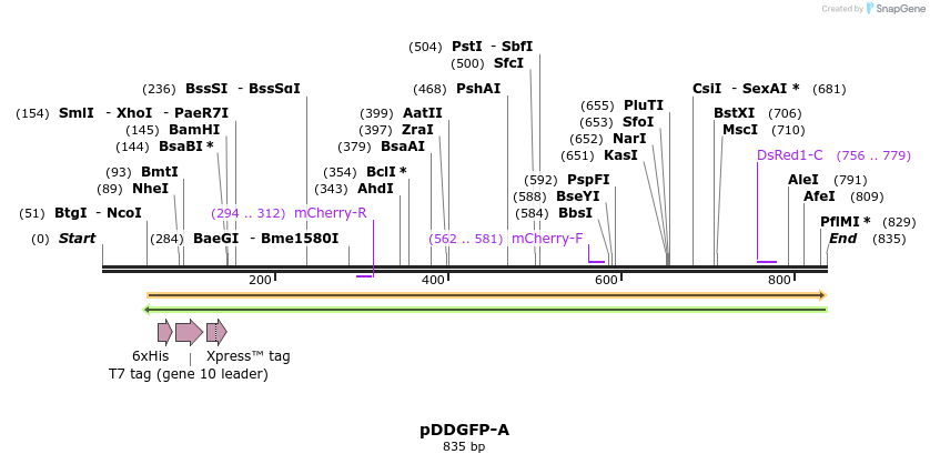 53473_map