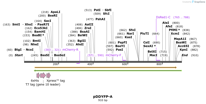 53474_map