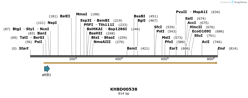 53476_map