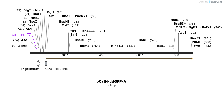 53477_map