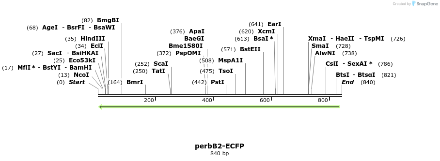 53480_map
