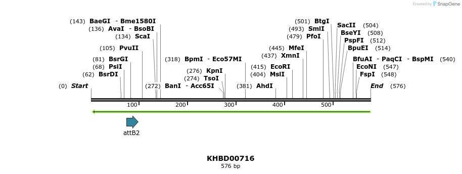 53482_map