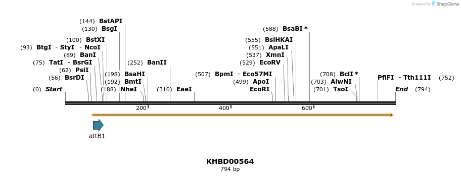 53484_map