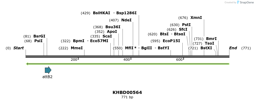 53485_map