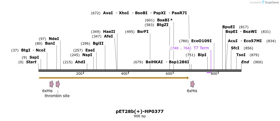 53487_map