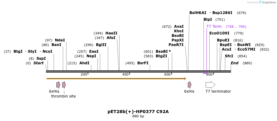 53488_map