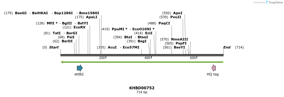 53490_map