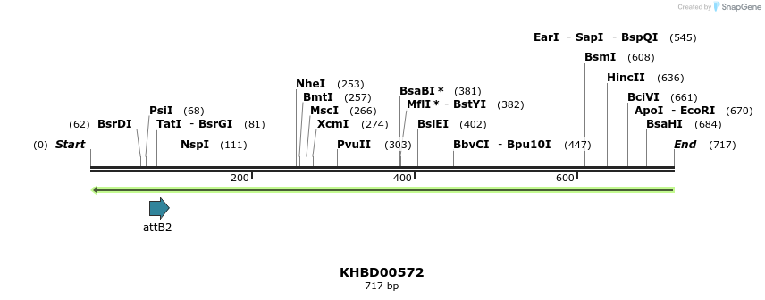 53492_map
