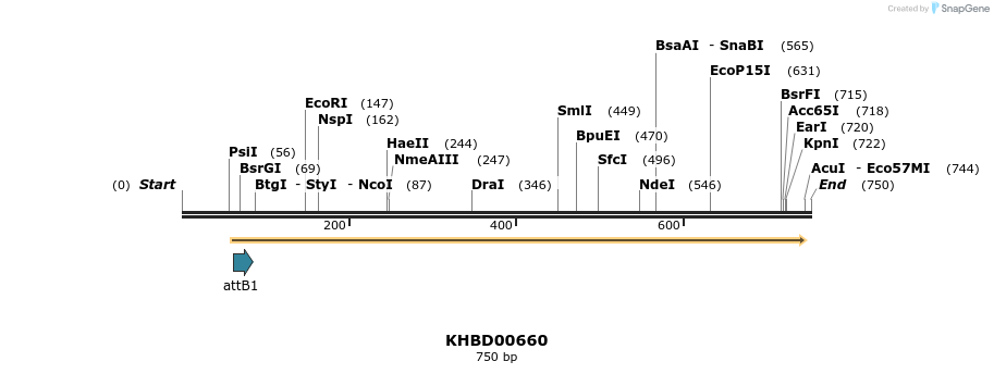 53496_map