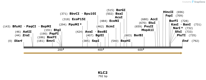 53497_map