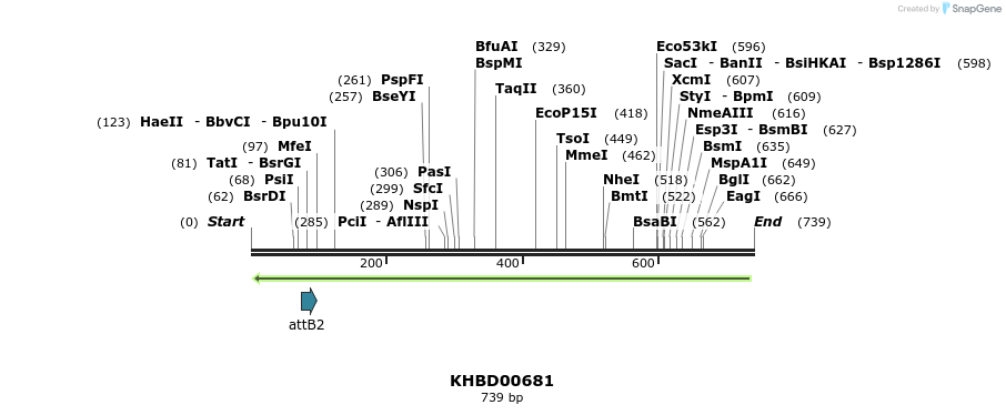 53500_map