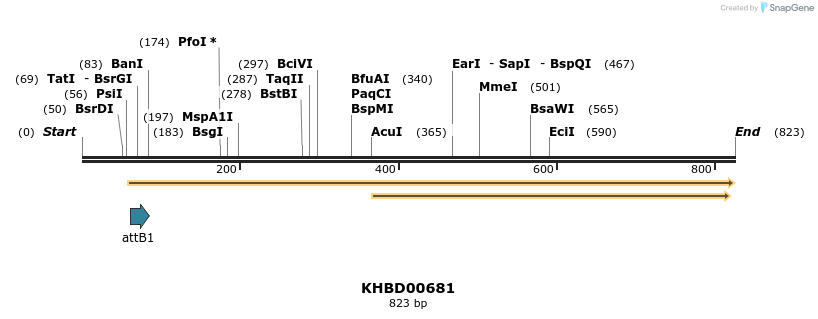 53501_map