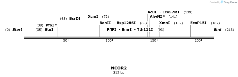 53503_map