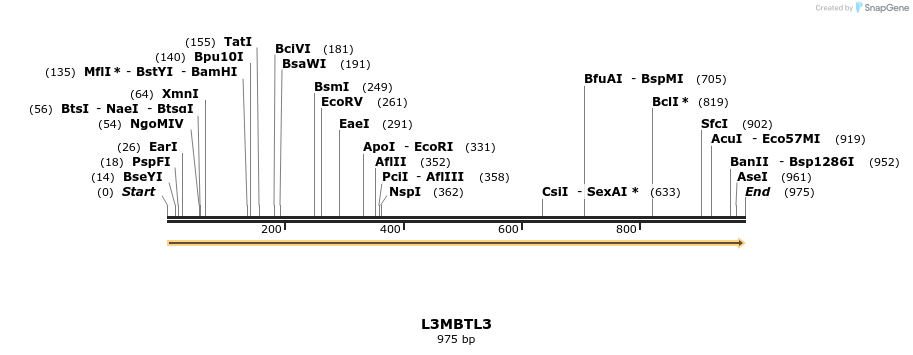 53504_map