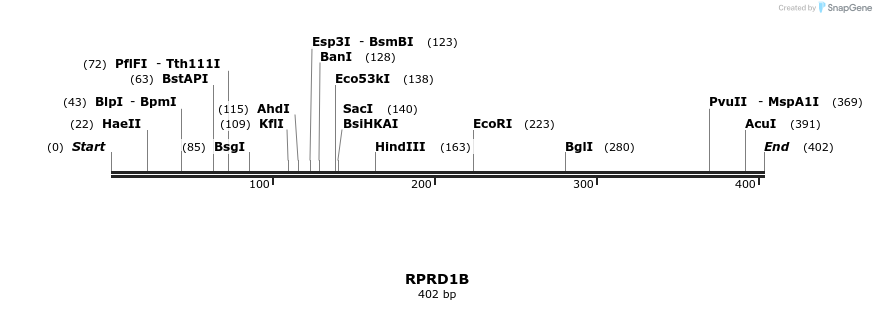 53507_map