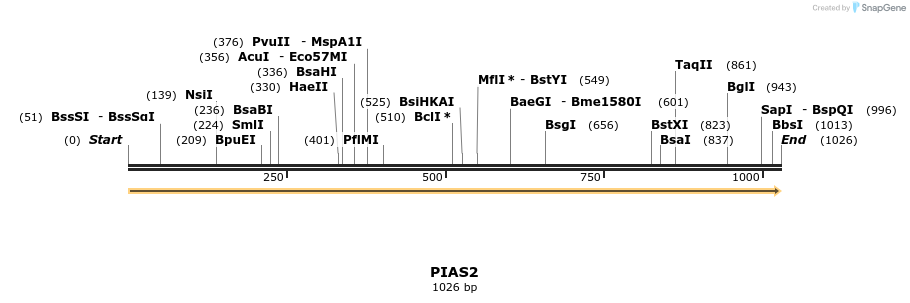 53514_map