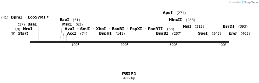 53516_map