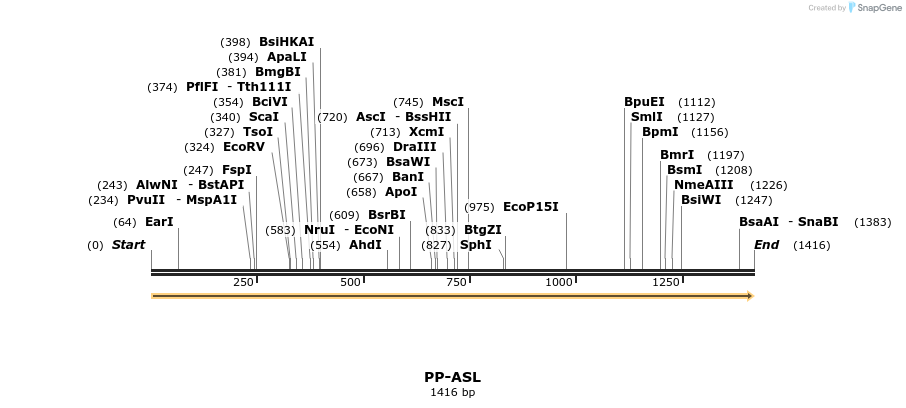 53525_map