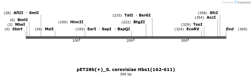 53536_map