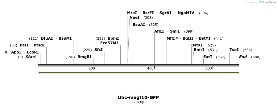 53538_map