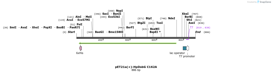 53539_map