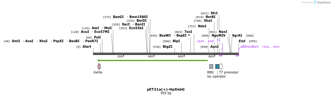 53540_map
