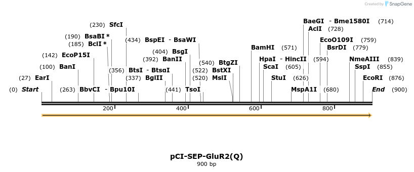 53542_map