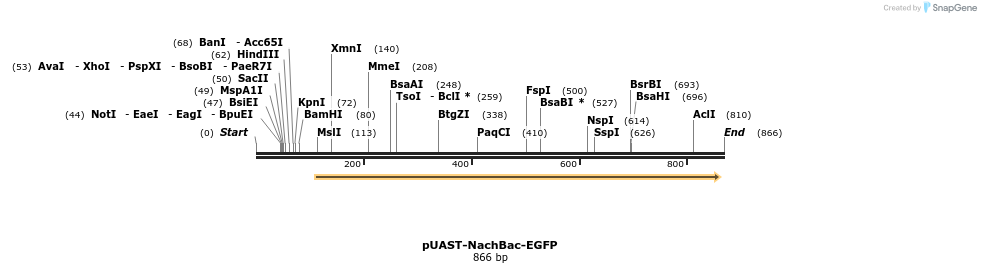 53547_map