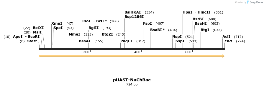 53562_map