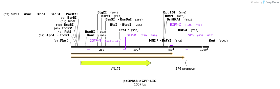 53572_map